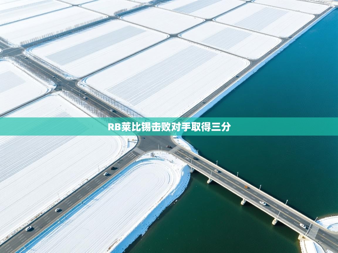 开云体育入口平台-RB莱比锡击败对手取得三分