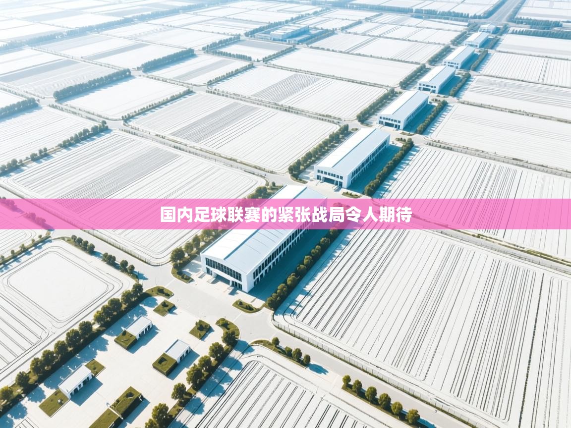 开云体育安卓APK下载-国内足球联赛的紧张战局令人期待  第2张