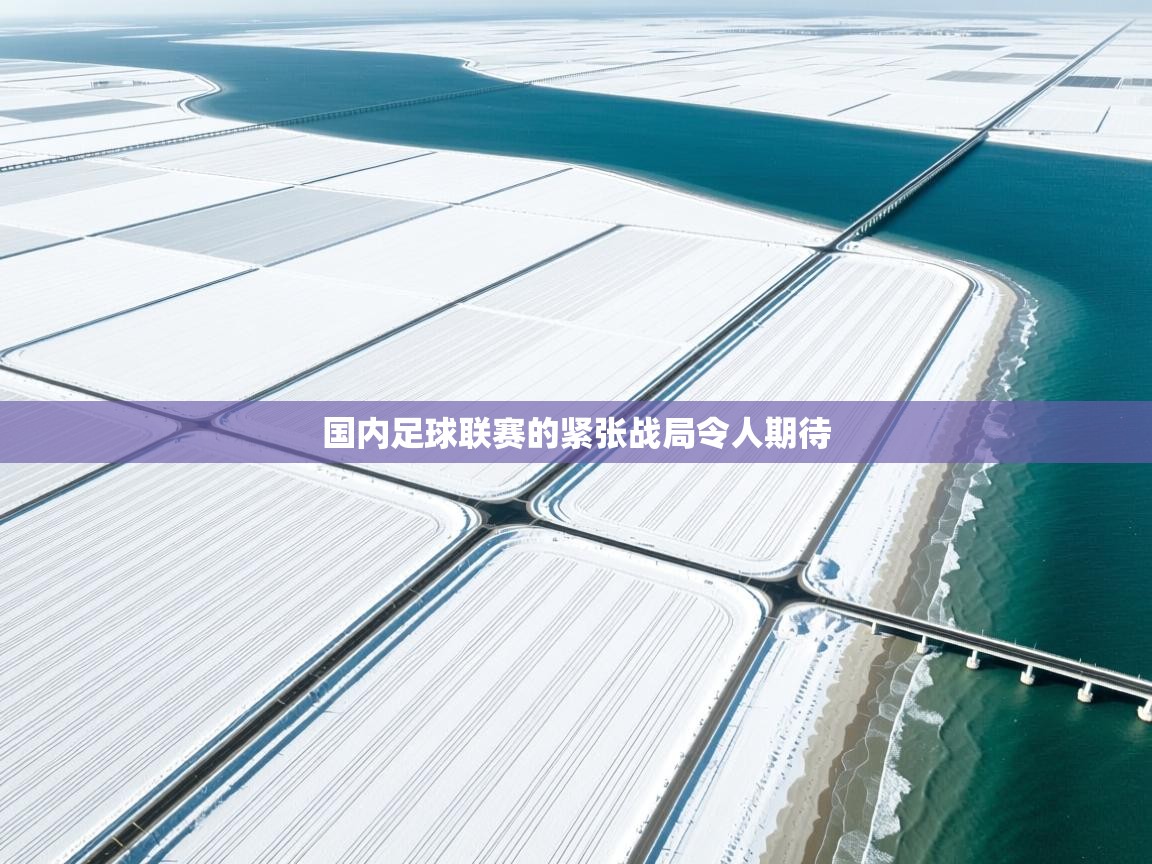 开云体育安卓APK下载-国内足球联赛的紧张战局令人期待  第4张