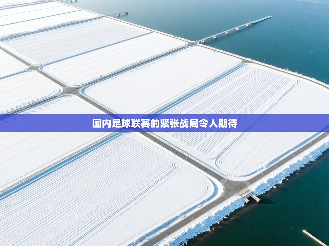 开云体育登录入口-国内足球联赛的紧张战局令人期待  第2张