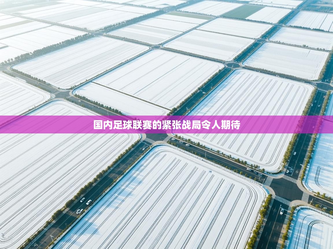 开云体育登录入口-国内足球联赛的紧张战局令人期待  第3张