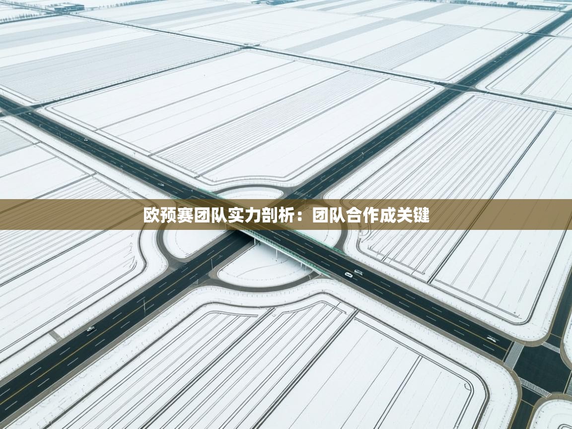 开云体育app下载官网-欧预赛团队实力剖析:团队合作成关键 第3张