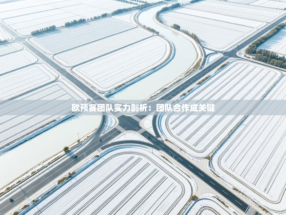 开云体育app下载官网-欧预赛团队实力剖析:团队合作成关键 第4张