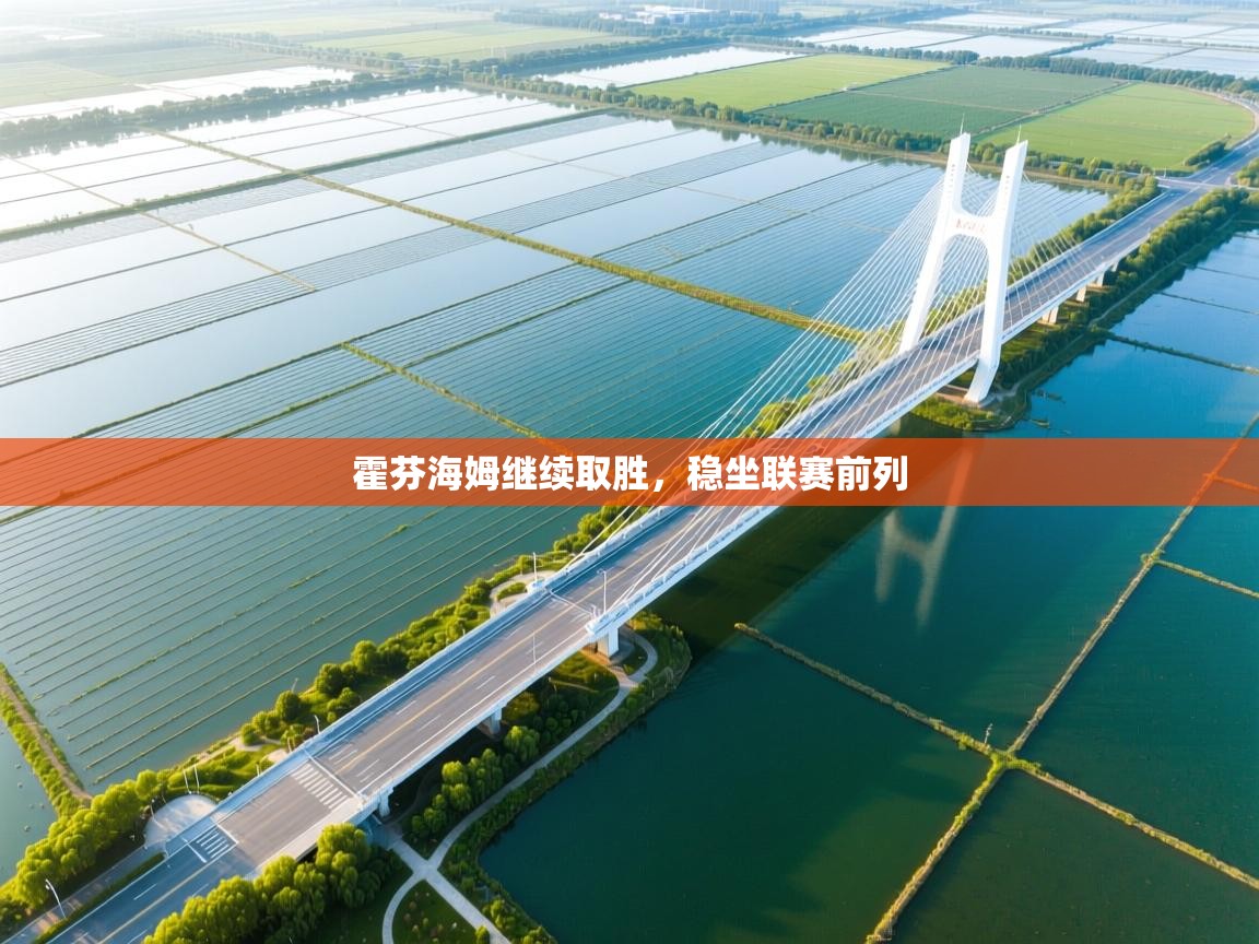 开云平台-霍芬海姆继续取胜，稳坐联赛前列