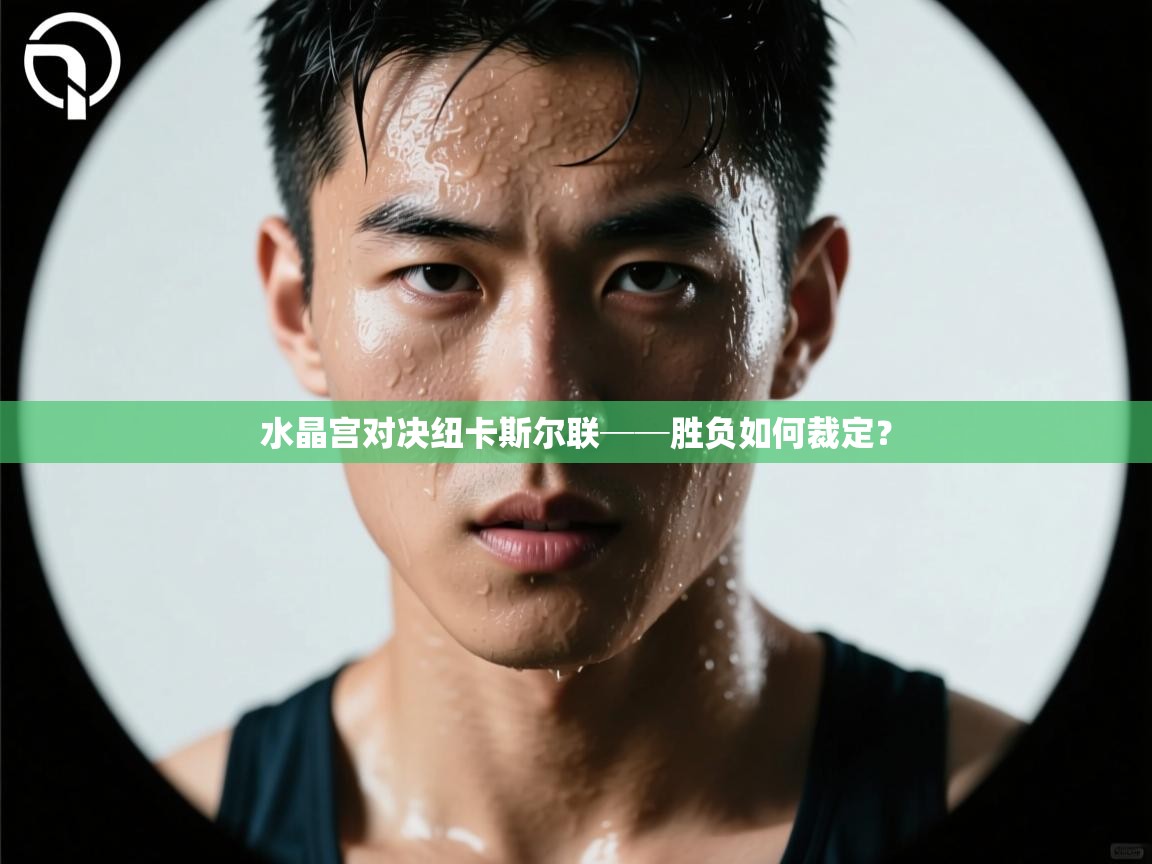 开云体育忘记密码找回-水晶宫对决纽卡斯尔联──胜负如何裁定？  第3张