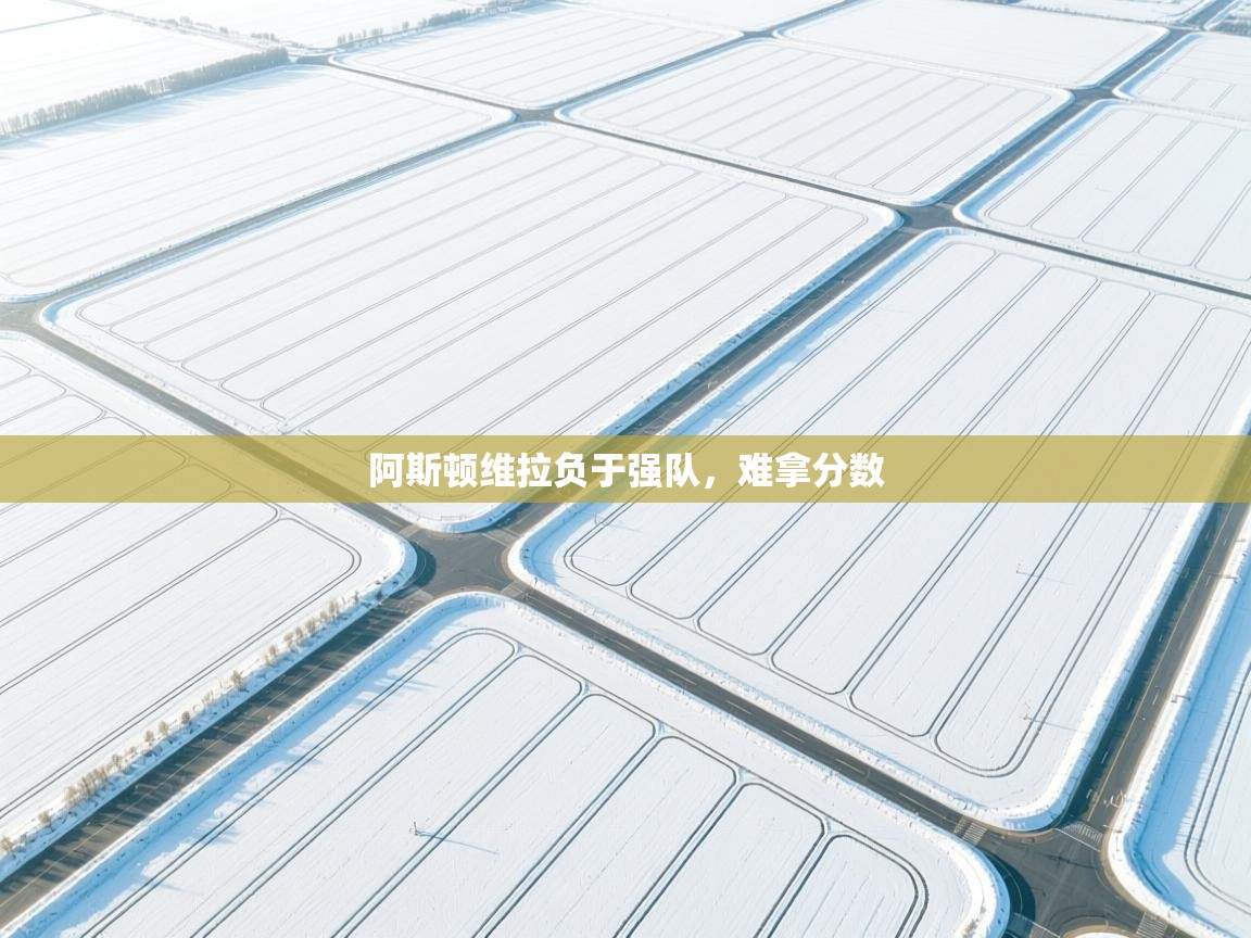 开云体育数据中心统计-阿斯顿维拉负于强队，难拿分数