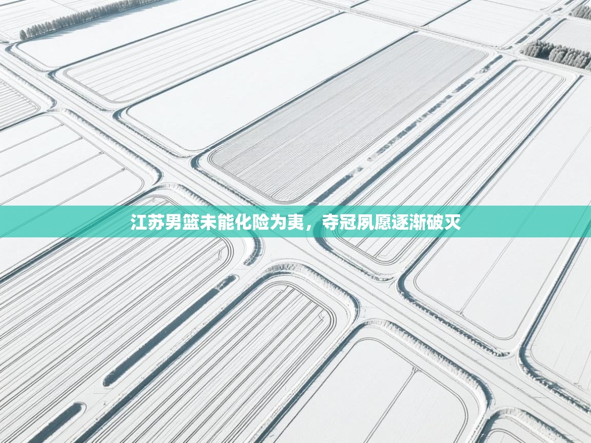 开云数据-江苏男篮未能化险为夷，夺冠夙愿逐渐破灭