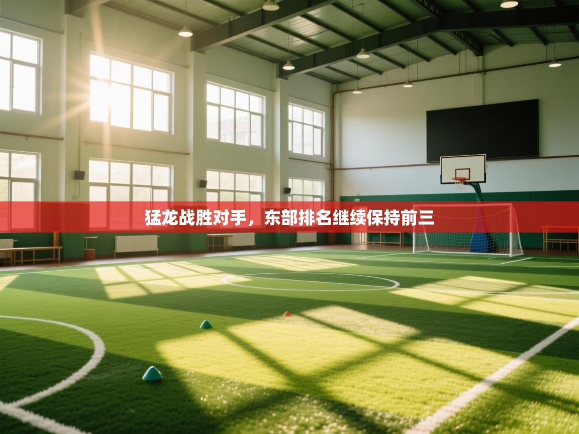 开云体育app下载链接-猛龙战胜对手，东部排名继续保持前三  第1张