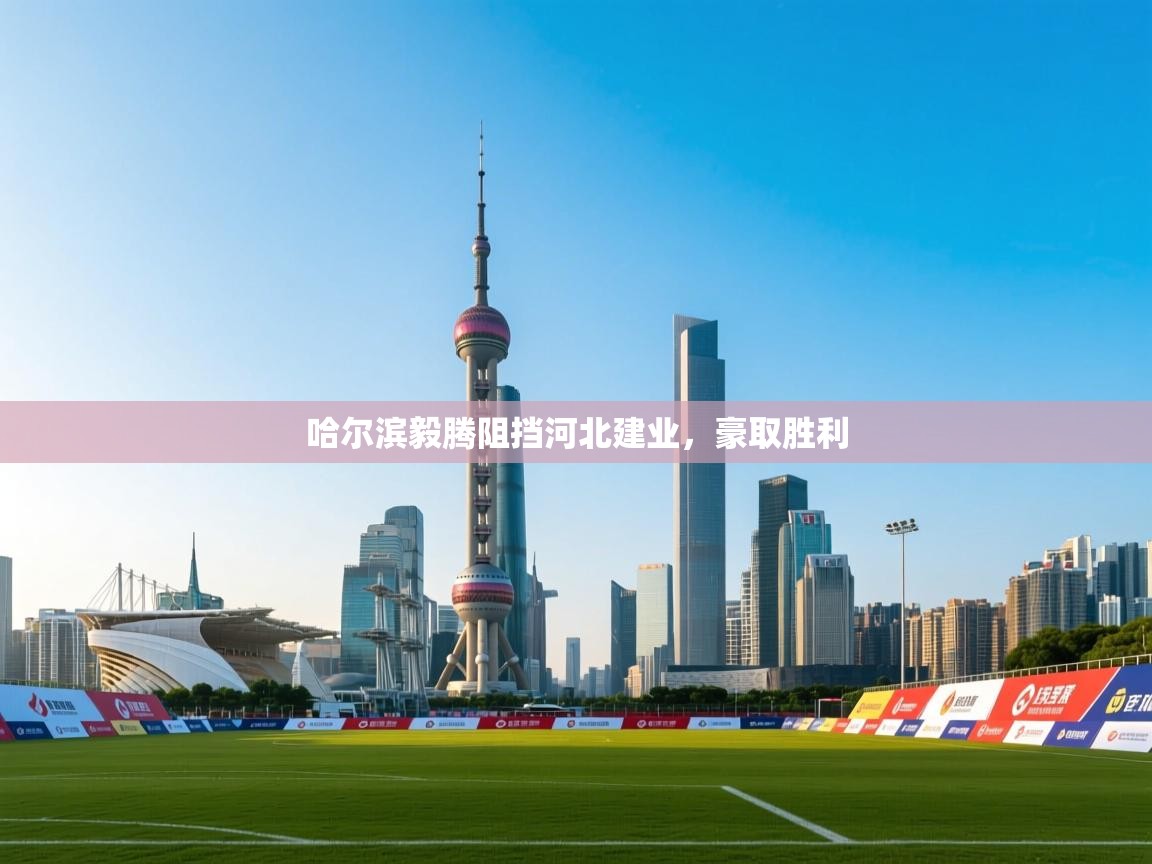 开云体育app-哈尔滨毅腾阻挡河北建业，豪取胜利  第1张