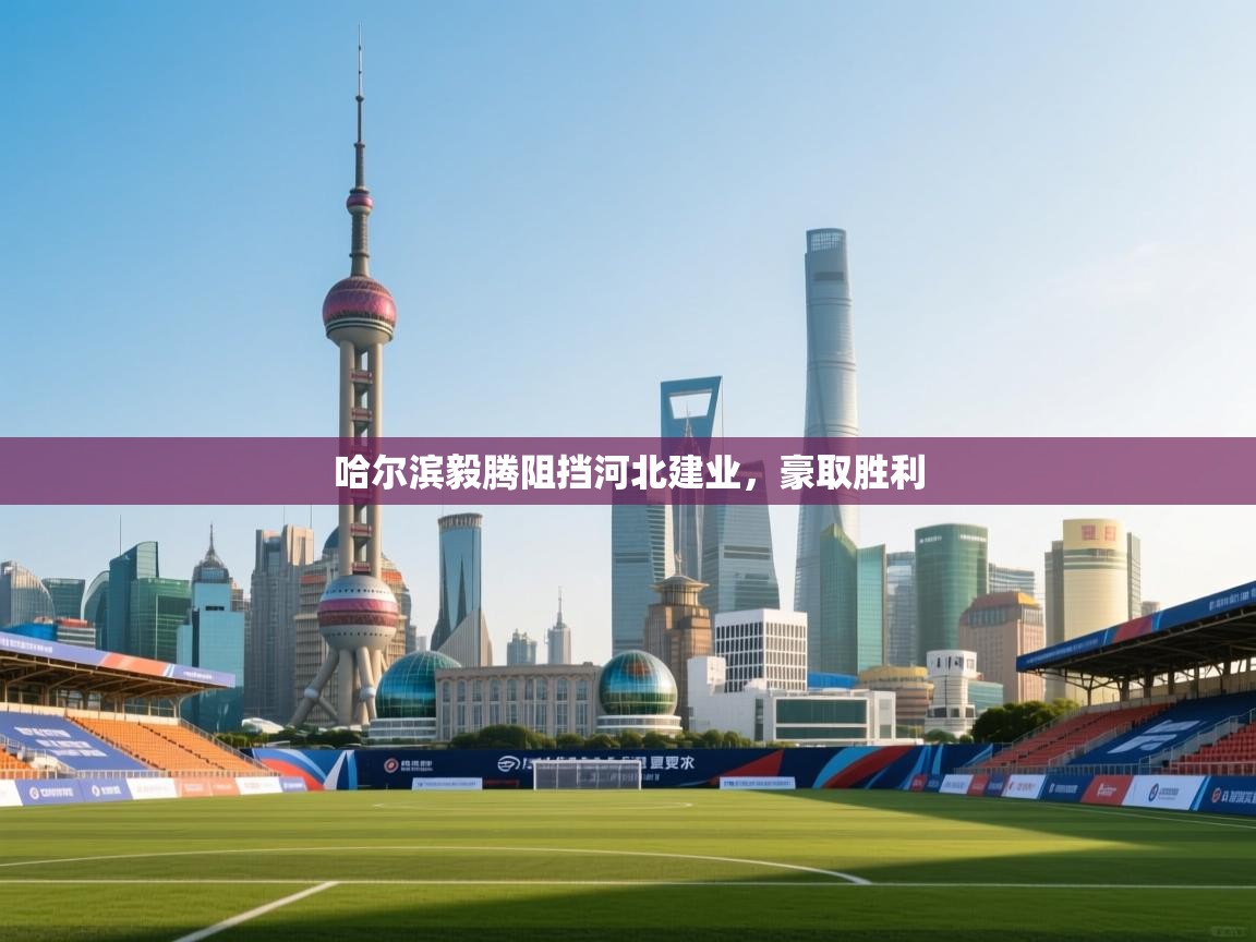 开云体育app-哈尔滨毅腾阻挡河北建业，豪取胜利  第4张